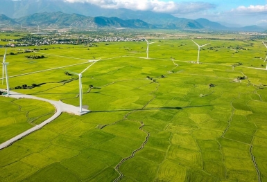 Điều gì giúp Ninh Thuận vào top tăng trưởng kinh tế cao nhất cả nước?