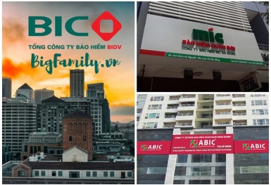 Dòng tiền thuần từ hoạt động kinh doanh tại Bảo hiểm BIC biến động đến khó tin