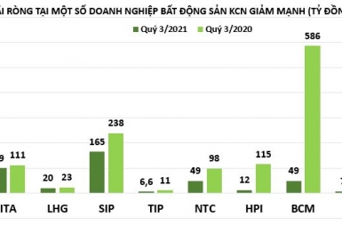 'Nốt trầm' từ kết quả kinh doanh của doanh nghiệp bất động sản khu công nghiệp
