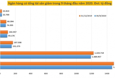 6 ngân hàng có tổng tài sản giảm trong 9 tháng đầu năm 2020: BIDV và Vietcombank cũng không ngoại lệ