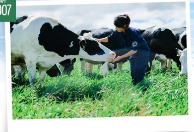 15 năm xây dựng hệ thống trang trại của “triệu phú sữa tươi” Việt Nam