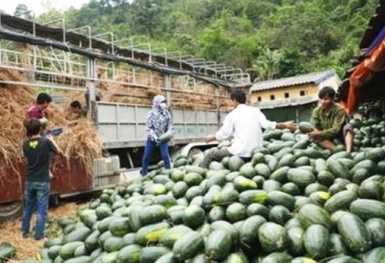 TQ siết yêu cầu với nông sản Việt: Thị trường đã khác...
