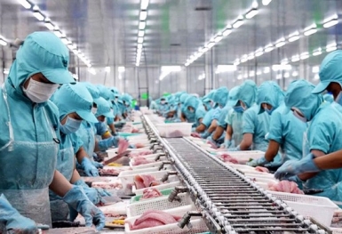 Xuất siêu 225 triệu USD trong 11 tháng năm 2021