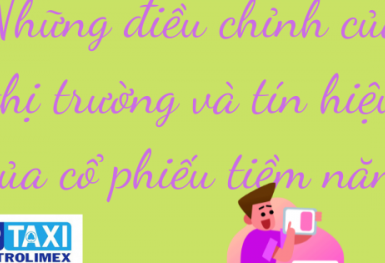 Những điều chỉnh của thị trường và tín hiệu của cổ phiếu tiềm năng