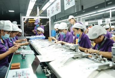 Giải quyết bài toán thị trường lao động trong giai đoạn bình thường mới