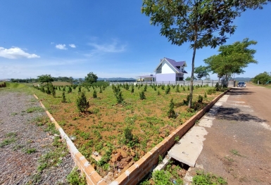 Tin bất động sản nổi bật trong tuần: Nhiều phiên đấu giá đất tại Lâm Đồng tăng gấp 2, 3 lần giá khởi điểm