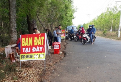 Xây mới 100 cây cầu, sân bay thứ 2 vùng Thủ đô chuyển về Tiên Lãng: Hải Phòng chuẩn bị 'sốt đất' khắp nơi?