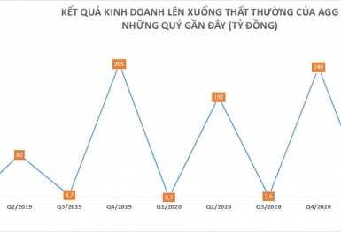 Bị xử phạt và truy thu thuế hơn 300 triệu đồng, bất động sản An Gia làm ăn ra sao?