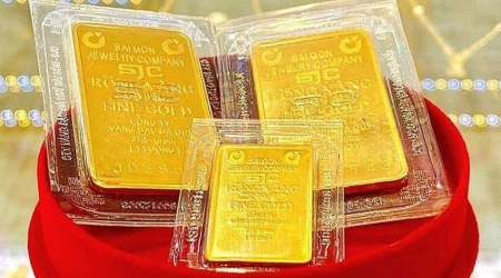 Đấu thầu thành công 3.400 lượng vàng với giá hơn 81 triệu đồng