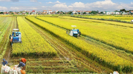 Điểm tin xây dựng - bất động sản ngày 5/2: Đề xuất miễn, giảm tiền thuê đất nông nghiệp để thúc đẩy đầu tư nông...