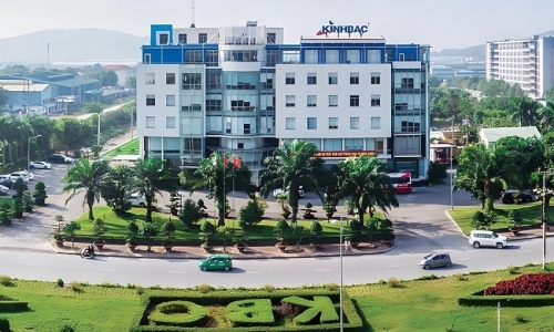 Doanh nghiệp bất động sản lao đao sau kiểm toán năm 2024