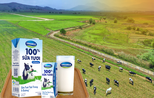 Vinamilk (VNM) đạt doanh thu 'khủng', đầu tư hàng nghìn tỷ đồng mở rộng quy mô
