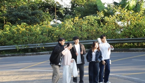 Ba Vì vào mùa dã quỳ rực rỡ, lượng khách tăng mạnh cuối tuần