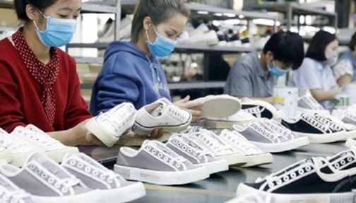 Tỷ lệ nội địa hóa nguyên phụ liệu ngành da giày mới đạt 50%