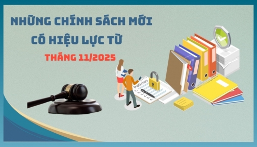 Những chính sách mới có hiệu lực từ tháng 11/2025