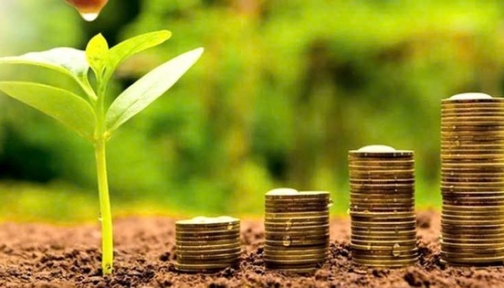 13 doanh nghiệp trả cổ tức tiền mặt, mức cao nhất lên tới 80%