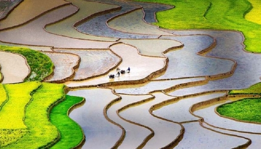 Những điểm đến hấp dẫn ở Mù Cang Chải