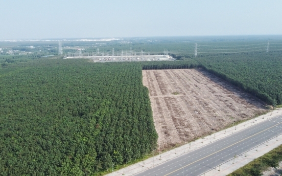 Chuyển đổi hơn 32ha đất rừng để thực hiện tái định cư dự án cao tốc Biên Hòa - Vũng Tàu