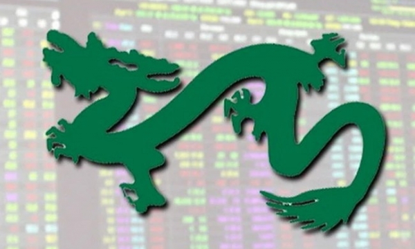 10 mã cổ phiếu chiếm tỷ trọng lớn nhất quỹ ETF mới của Dragon Capital
