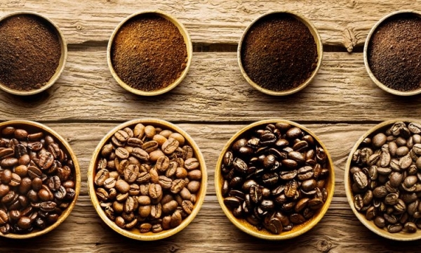 Giá cà phê hôm nay 20/6: Tiếp đà phục hồi trên thị trường thế giới