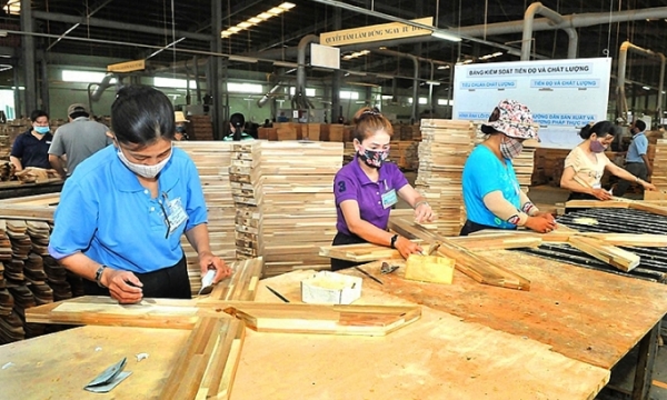 Chào bán hơn 41 triệu cổ phiếu, Gỗ Trường Thành muốn huy động vốn