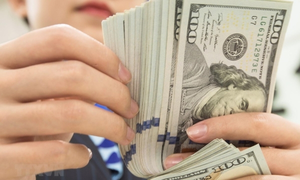 Tỷ giá ngoại tệ hôm nay 28/7: Đồng USD tiếp tục giảm