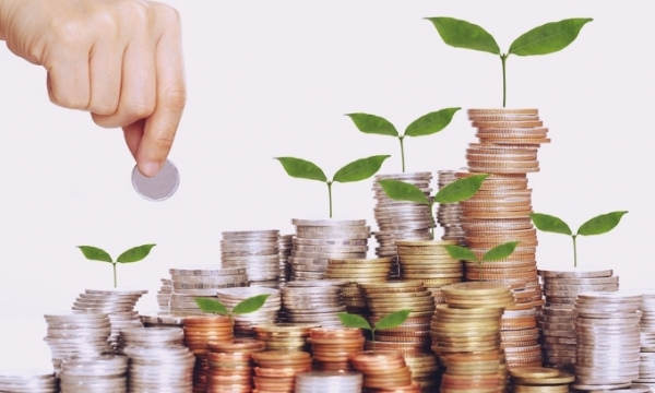 Một số doanh nghiệp trả cổ tức bằng tiền mặt