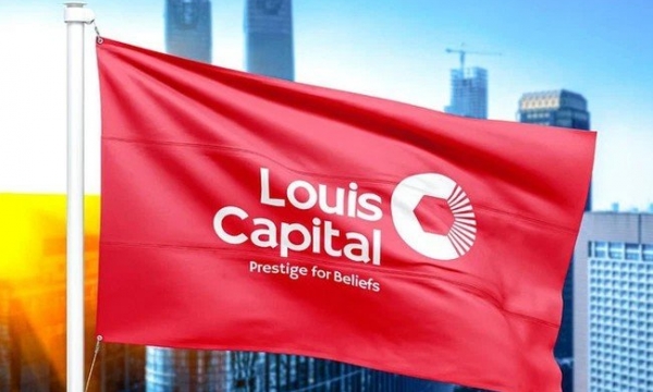 Trích lập dự phòng vào công ty con, Louis Capital từ lãi thành lỗ sau kiểm toán