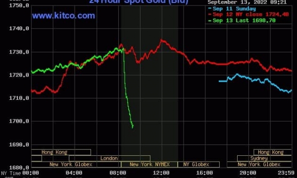 Giá vàng bất ngờ giảm sâu, xuống sát mốc 1.700 USD/ounce