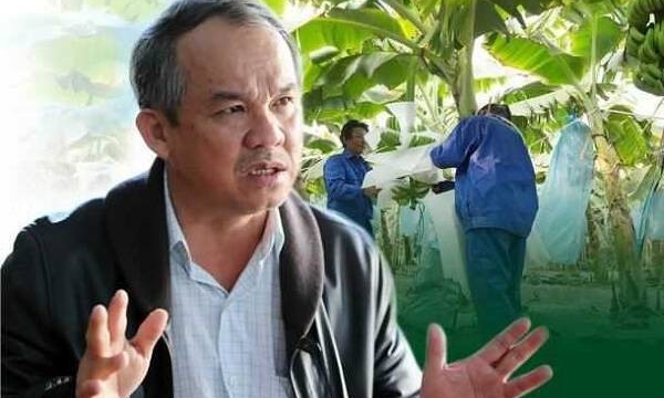 HAGL: Lãi 113 tỷ đồng trong tháng 9 hoàn thành 79% kế hoạch năm 2022
