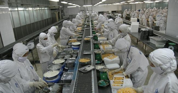Một công ty thuỷ sản mở thủ tục phá sản, âm vốn hơn 1.000 tỷ đồng
