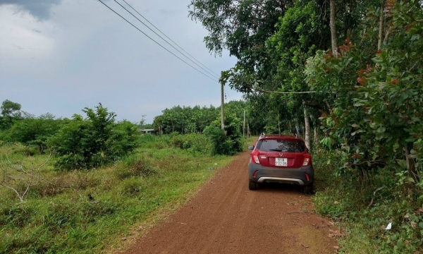 Lỡ lướt sóng thành “ôm bom”, nhà đầu tư non vốn nên cắt lỗ hay cố giữ tài sản chờ thị trường?