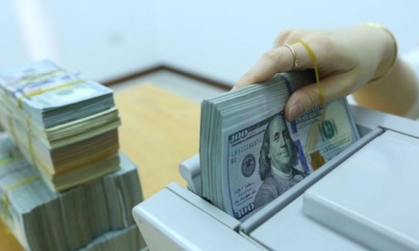 Tỷ giá ngoại tệ hôm nay 15/11: Thị trường thế giới lấy lại đà tăng giá