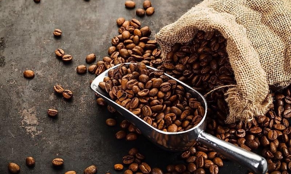 Giá cà phê hôm nay 4/12: Thị trường trong nước giảm nhẹ