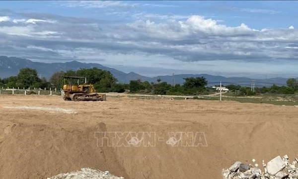 Nhiều trường hợp vi phạm đất đai không bị buộc nộp lại số thu lợi bất hợp pháp
