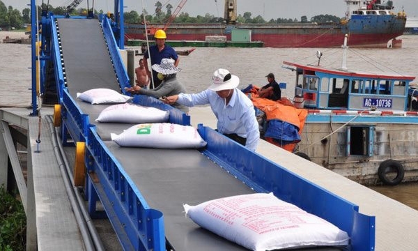 Thị trường sôi động, giá gạo xuất khẩu tiếp tục tăng