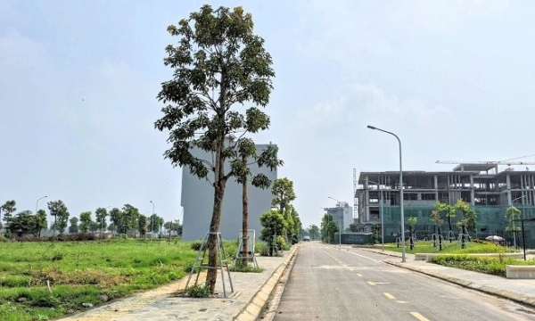 Đấu giá đất vùng ven Hà Nội sôi động giữa lúc thị trường trầm lắng
