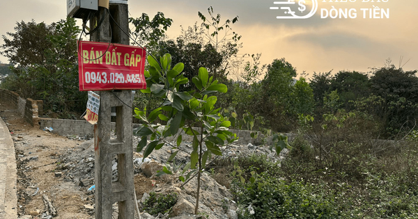 Nhà đầu tư bất động sản: Chỉ còn đất nhưng “hết tiền”