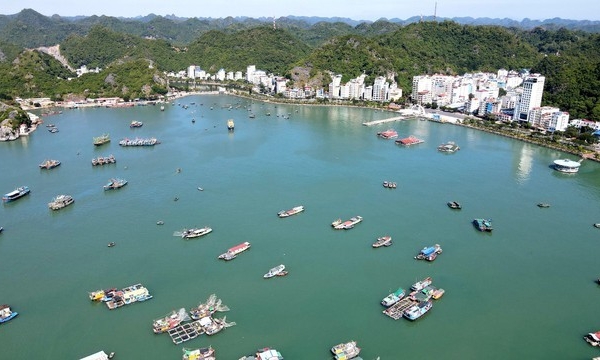 Khu du lịch, dịch vụ thương mại Vịnh trung tâm Cát Bà vẫn chưa có chủ sau 2 lần đấu giá