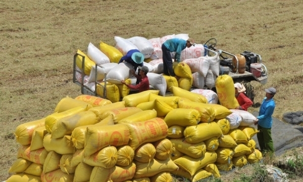 Tin tức kinh tế ngày 28/3: Đặt mục tiêu xuất khẩu lương thực thực phẩm trên 30 tỷ USD/năm