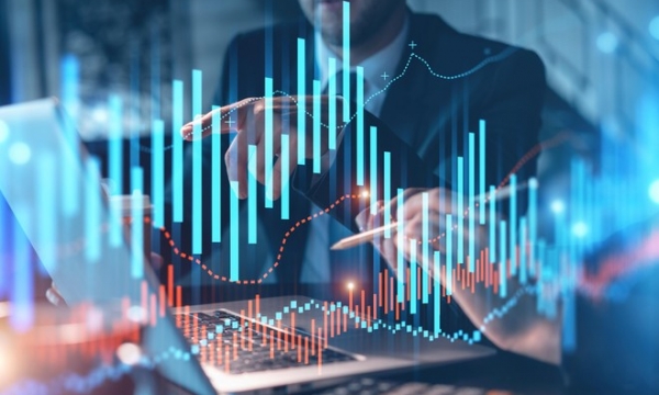 Cổ phiếu nông nghiệp khởi sắc, Vn-Index tăng nhẹ