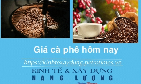 Giá cà phê hôm nay 27/11: Thị trường trong nước không đổi