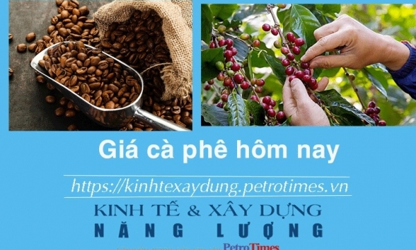 Giá cà phê hôm nay 28/11: Robusta tăng trở lại