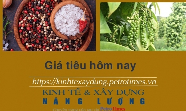 Giá tiêu hôm nay 28/11: Thị trường trong nước tăng