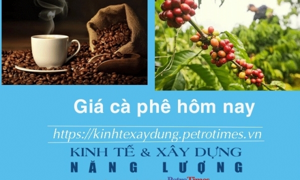 Giá cà phê hôm nay 29/11: Thị trường trong nước tăng nhẹ trở lại