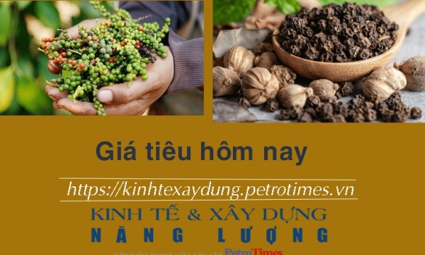 Giá tiêu hôm nay 5/12: Ổn định và đi ngang