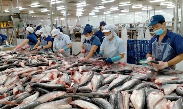 Xuất khẩu cá tra sang Brazil tăng trưởng 4 tháng liên tiếp
