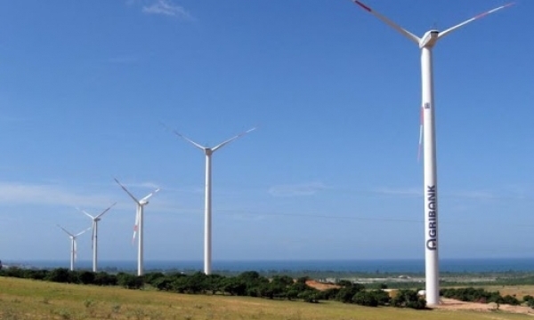 Agribank siết nợ chủ đầu tư dự án điện gió đầu tiên tại Việt Nam