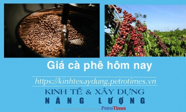 Giá cà phê hôm nay 9/12: Giữ vững đà tăng