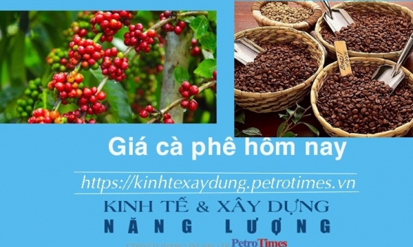 Giá cà phê hôm nay 10/12: Điều chỉnh giảm nhẹ